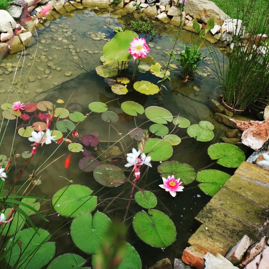 River Melody Bettona Zewnętrze zdjęcie